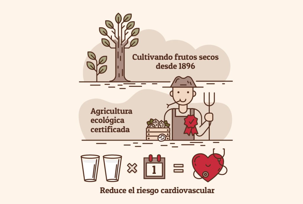 Diseño de presentación comercial y comunicación para las bebidas vegetales Infografía