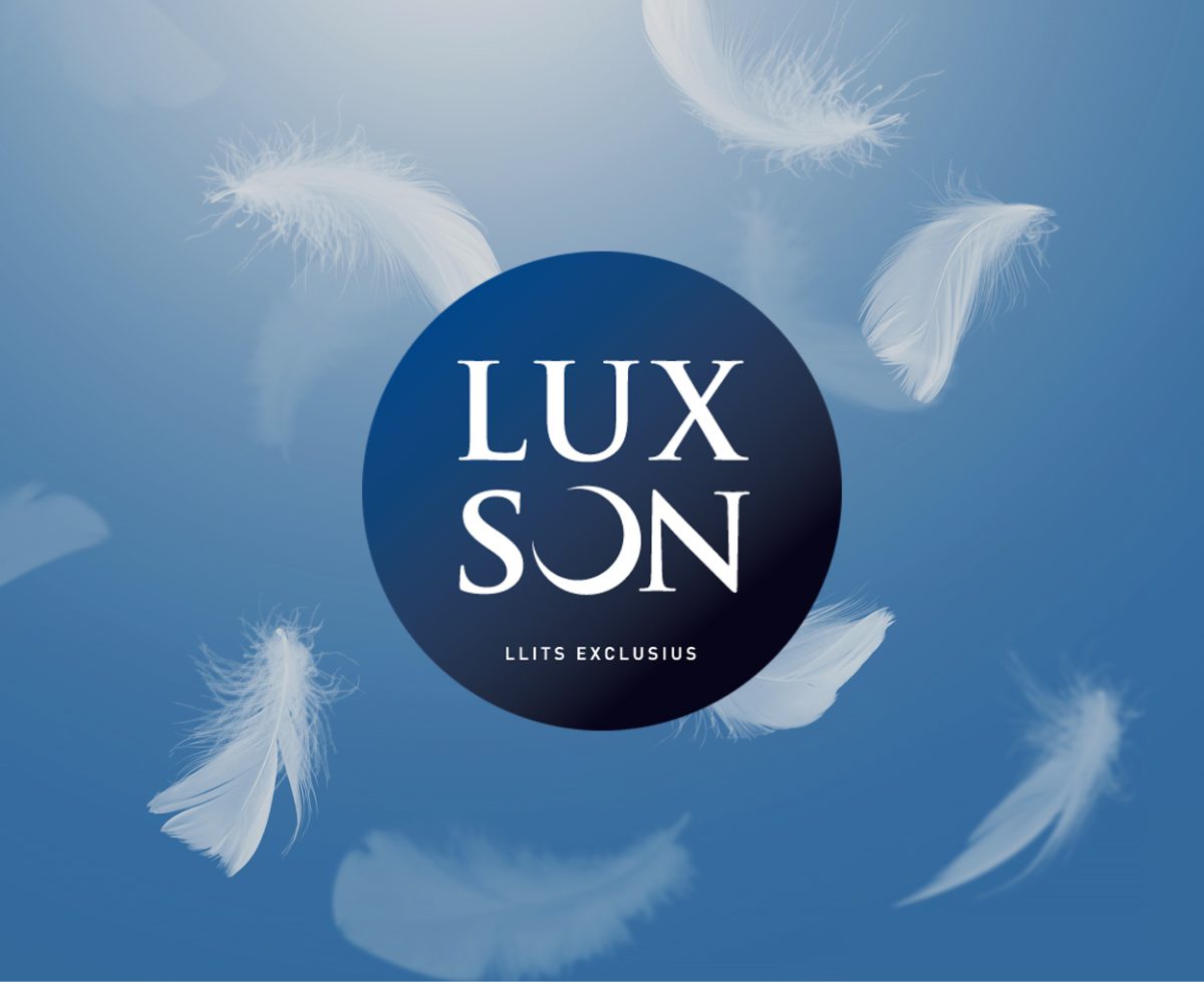 Creació de naming per a les botigues de matalassos Luxson