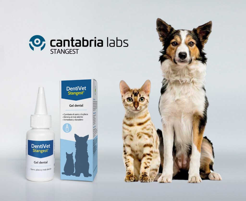 Creatividad y diseño de envase veterinario: caso de la marca Stangest